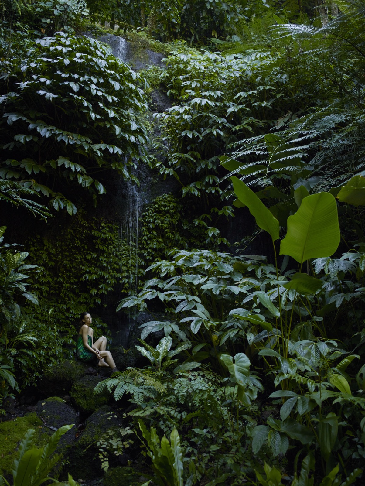 Aveda tropical forest waterfall, the plant powered inspiration behind every Amenities spa experience