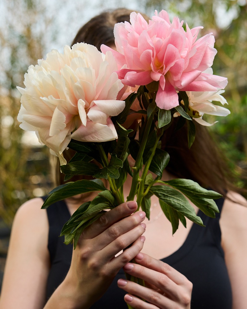 Fresh peonies, the plant powered beauty behind Aveda products at Amenities in Fresno